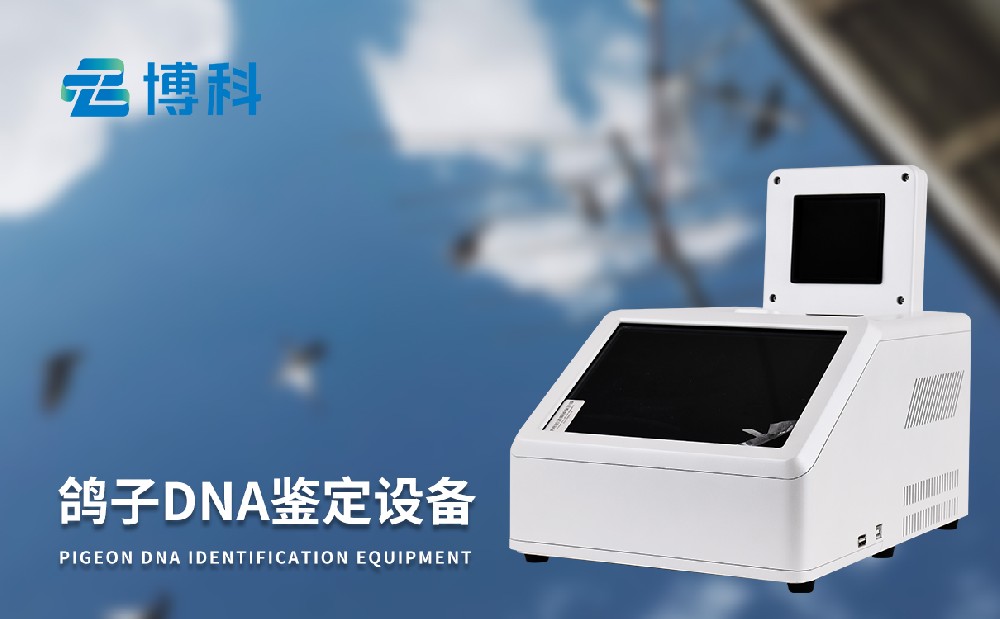 鴿子dna鑒定設(shè)備 鴿子dna鑒定設(shè)備