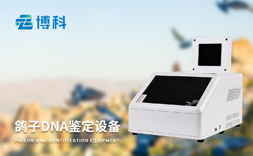 鴿子DNA鑒定設(shè)備 鴿子DNA鑒定設(shè)備