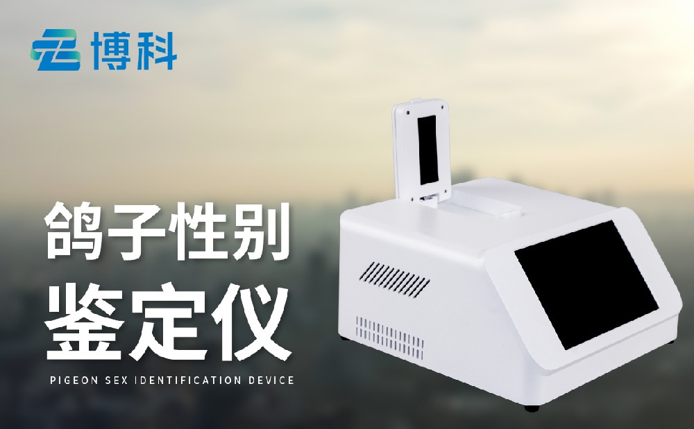 鴿子公母檢測儀 鴿子公母檢測儀