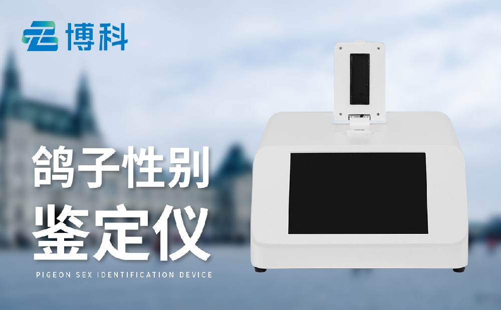 鴿子性別檢測(cè)儀